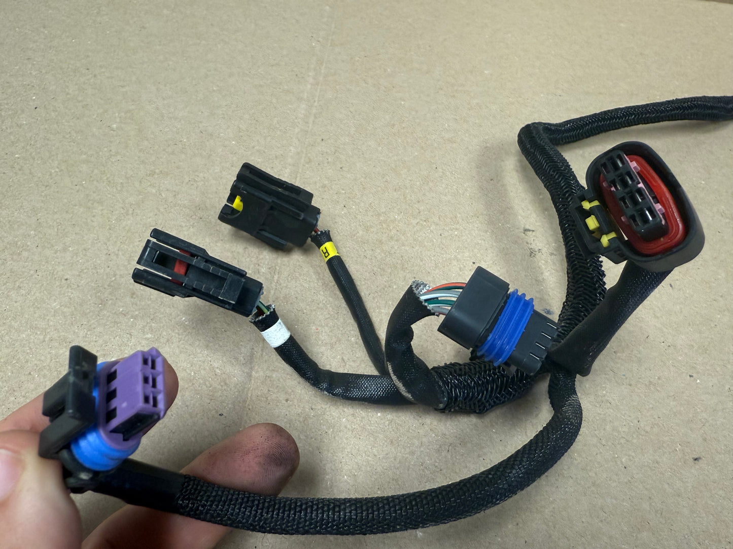 2009-2022 Harley Davidson Sportster OEM Complete Engine Wiring Harness 69200077A