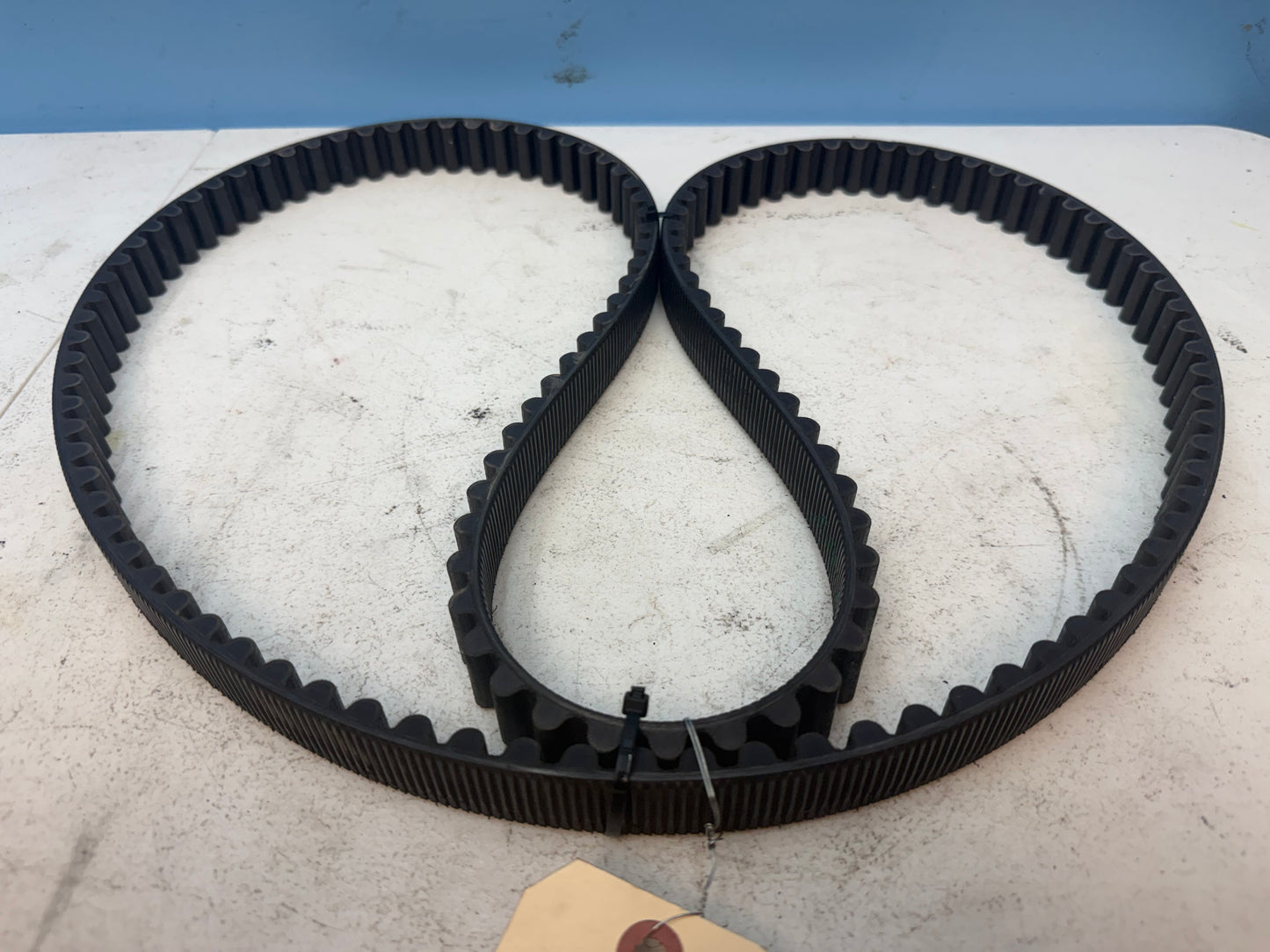 2014-2022 Harley Davidson Sportster XL1200 OEM Drive Belt FREE SHIPPING