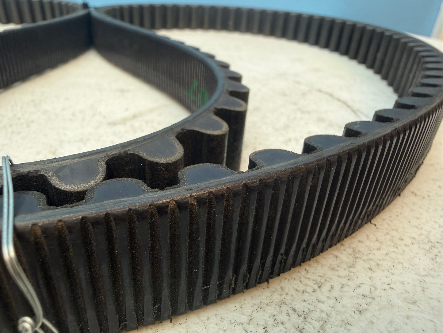 2014-2022 Harley Davidson Sportster XL1200 OEM Drive Belt FREE SHIPPING
