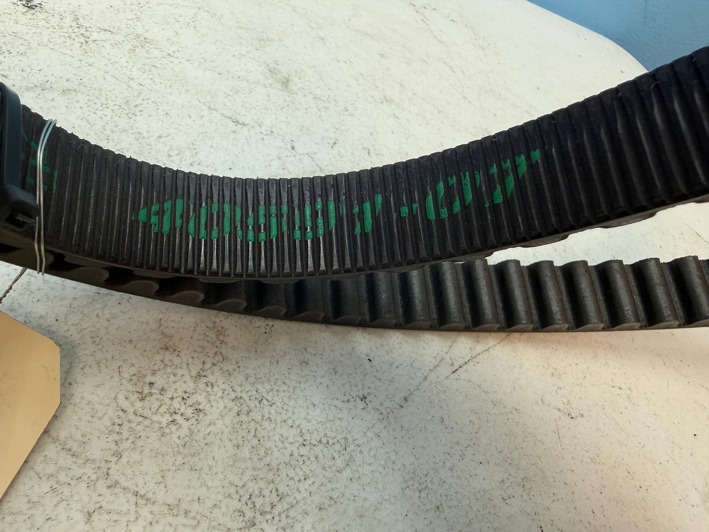 2014-2022 Harley Davidson Sportster XL1200 OEM Drive Belt FREE SHIPPING