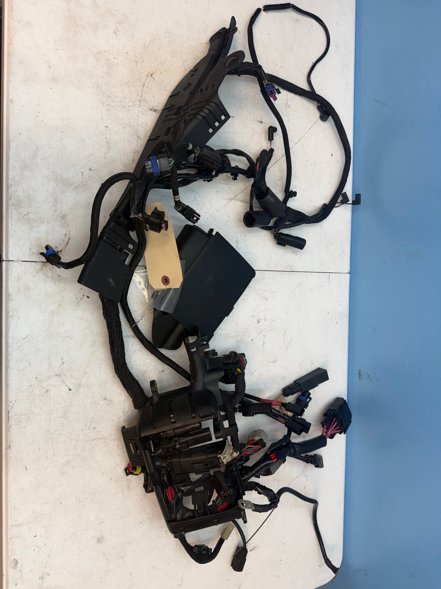 14-22 Harley Davidson Sportster XL1200 OEM Main Wiring Harness Keyless Non-ABS