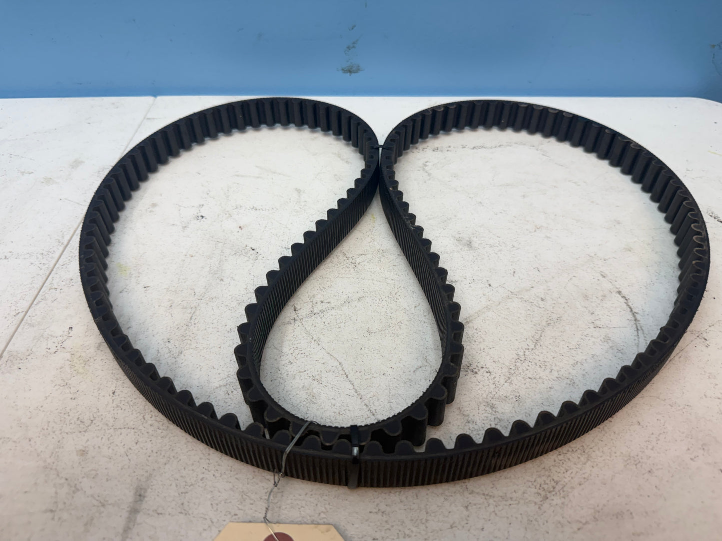 2014-2022 Harley Davidson Sportster XL1200 OEM Drive Belt FREE SHIPPING