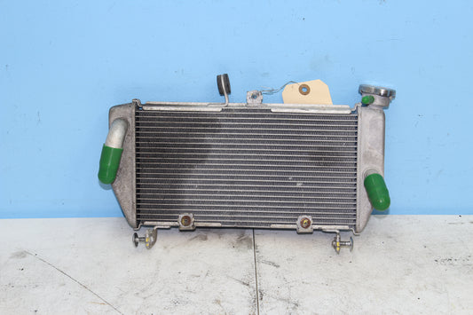2019-2024 Yamaha YZF-R3 ABS OEM Radiator Assembly 1WD-E2461-00-00