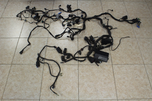 2001-2010 Honda Goldwing OEM Main Harness