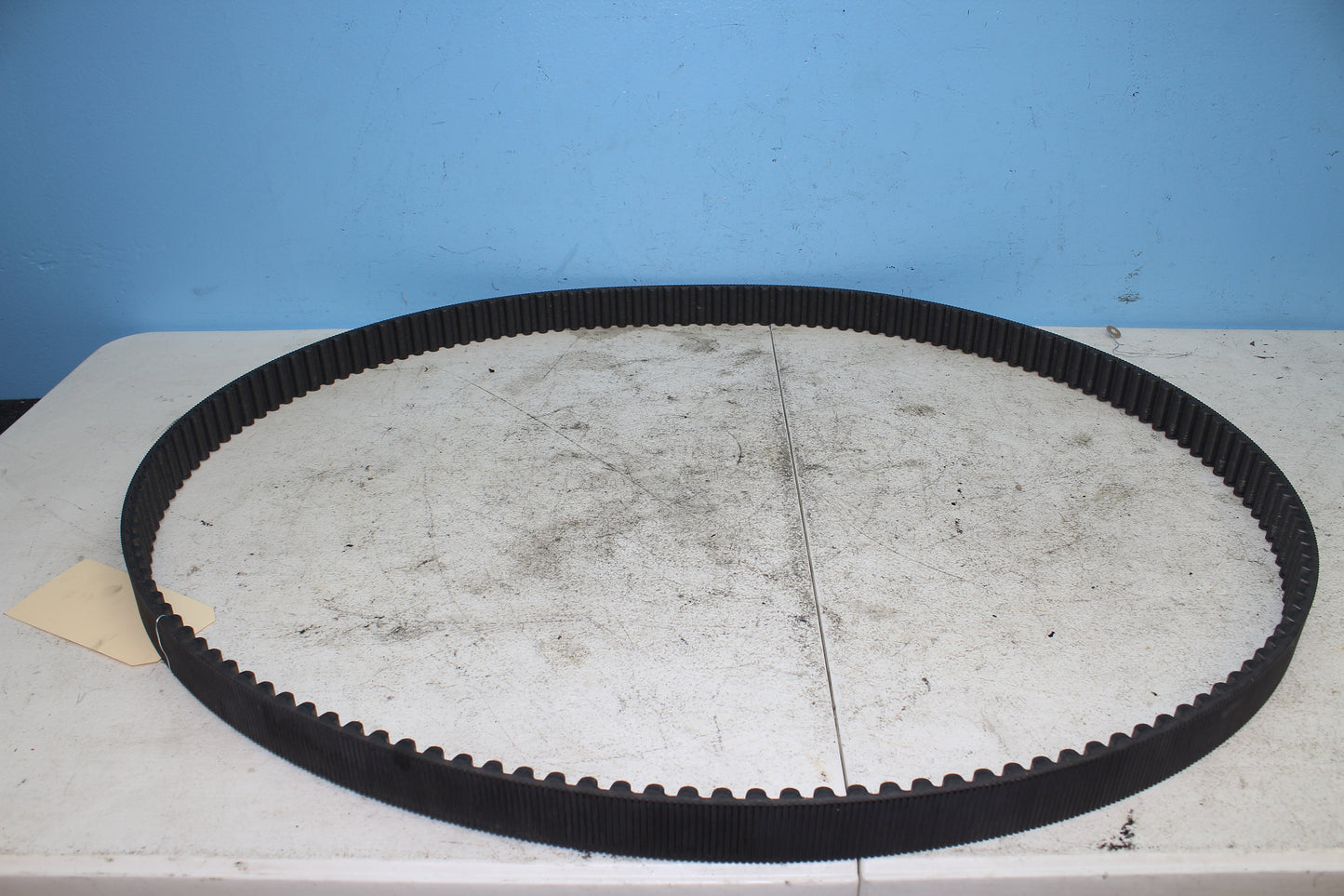 02-06 Harley Davidson VRSCA V Rod 100th Anniv. Drive Belt