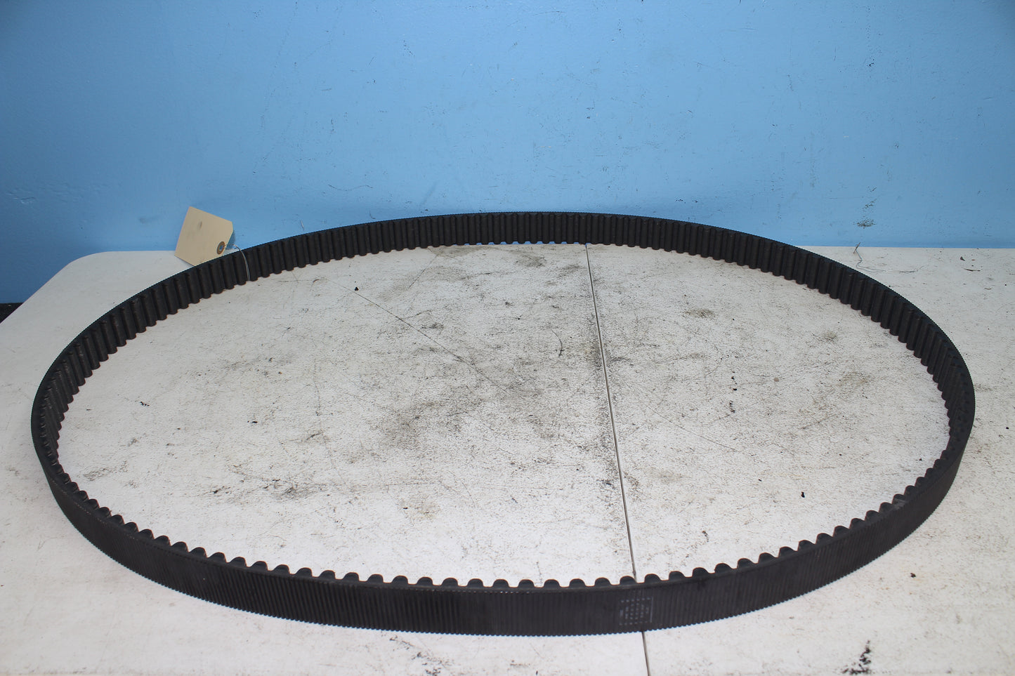 02-06 Harley Davidson VRSCA V Rod 100th Anniv. Drive Belt