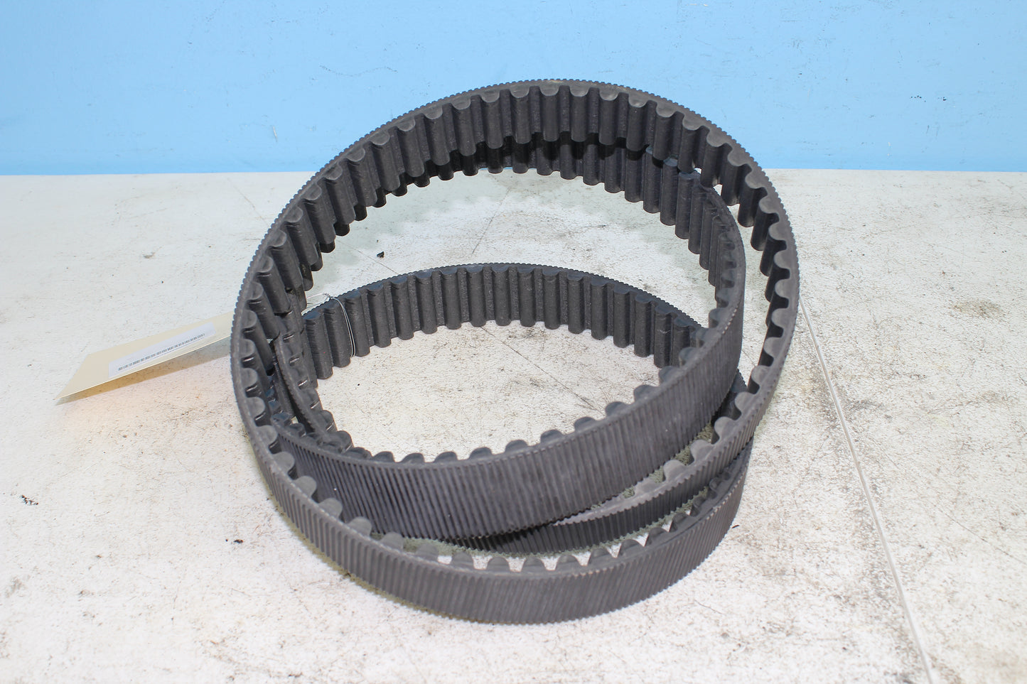 02-06 Harley Davidson VRSCA V Rod 100th Anniv. Drive Belt
