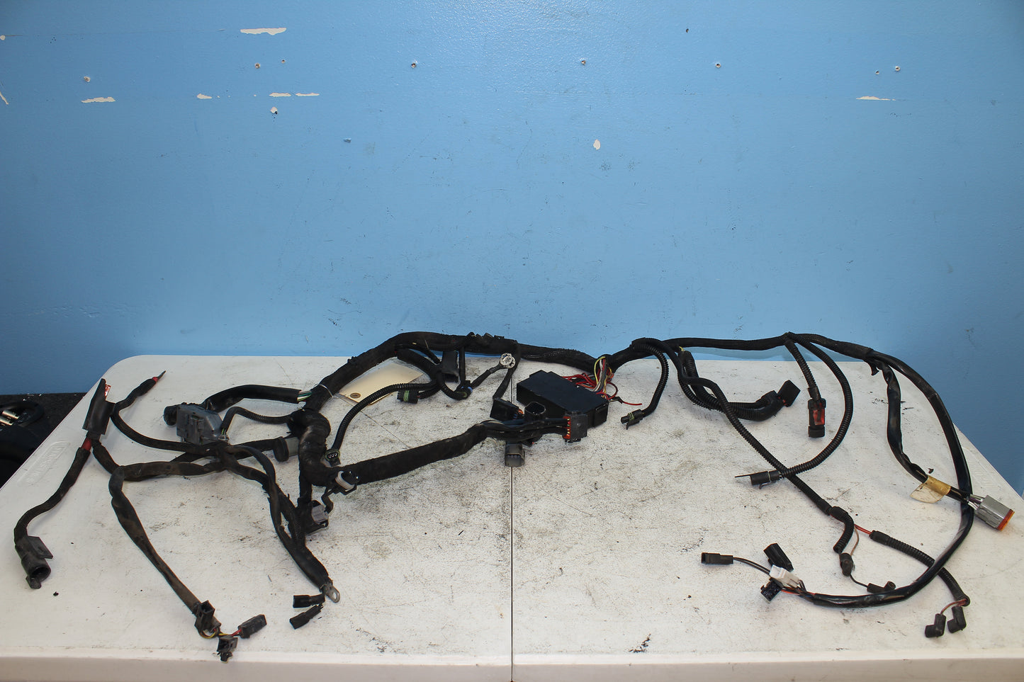 02-06 Harley Davidson VRSCA V Rod 100th Anniv. Main Wiring Harness