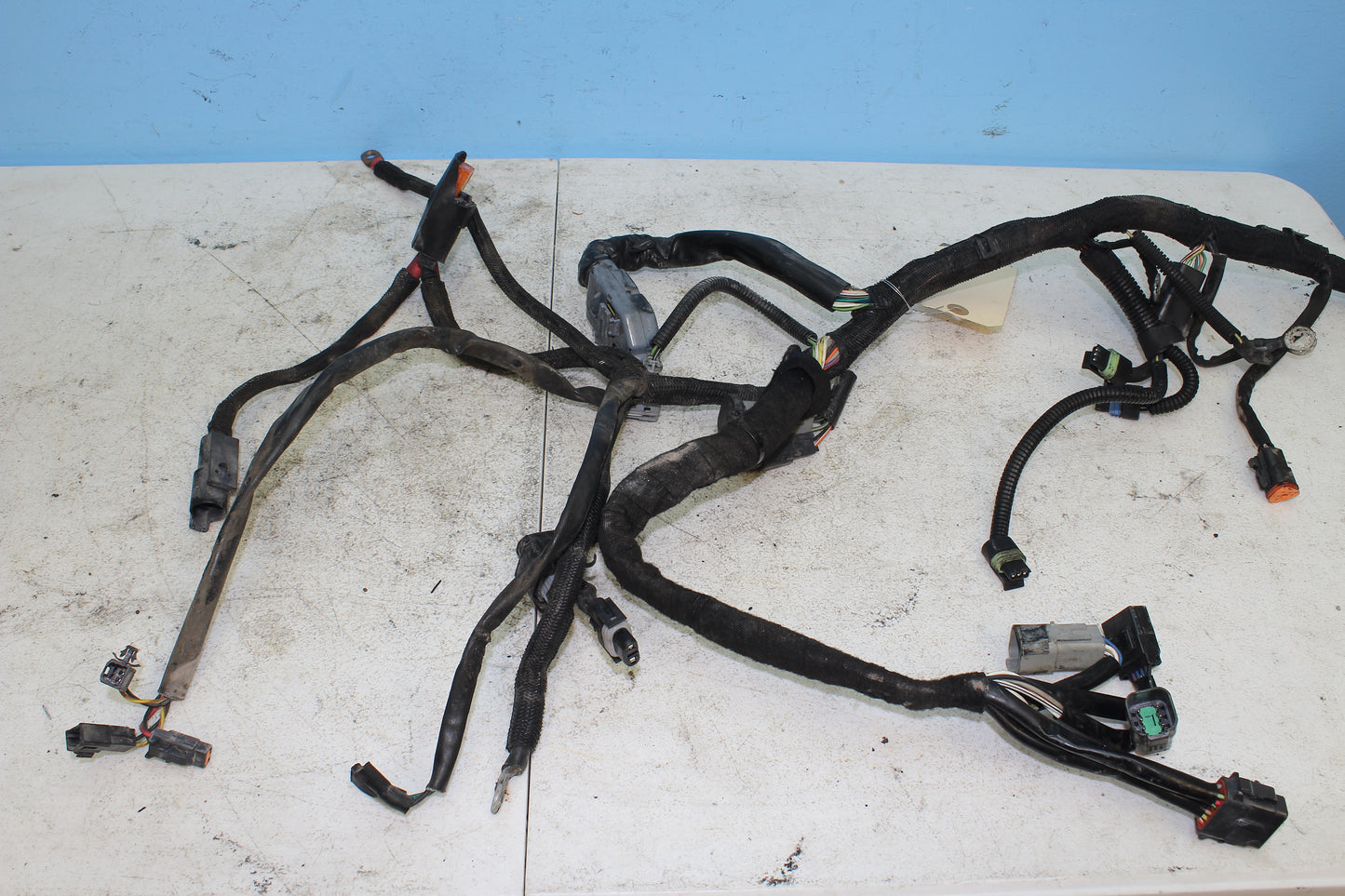 02-06 Harley Davidson VRSCA V Rod 100th Anniv. Main Wiring Harness