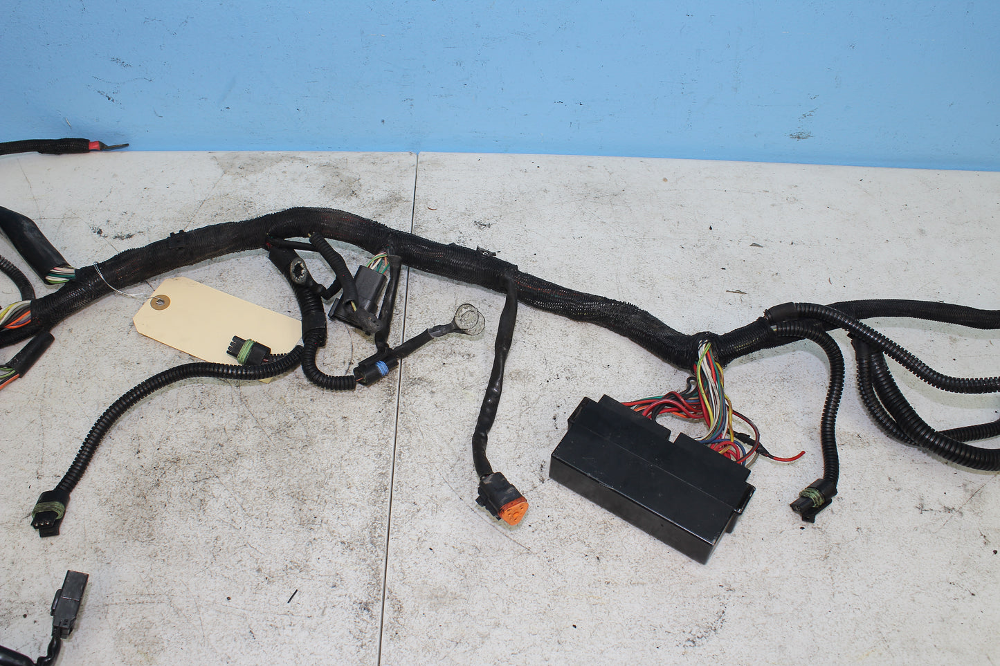 02-06 Harley Davidson VRSCA V Rod 100th Anniv. Main Wiring Harness