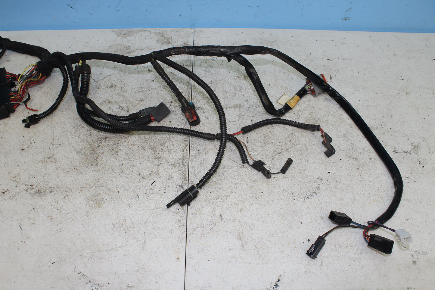 02-06 Harley Davidson VRSCA V Rod 100th Anniv. Main Wiring Harness
