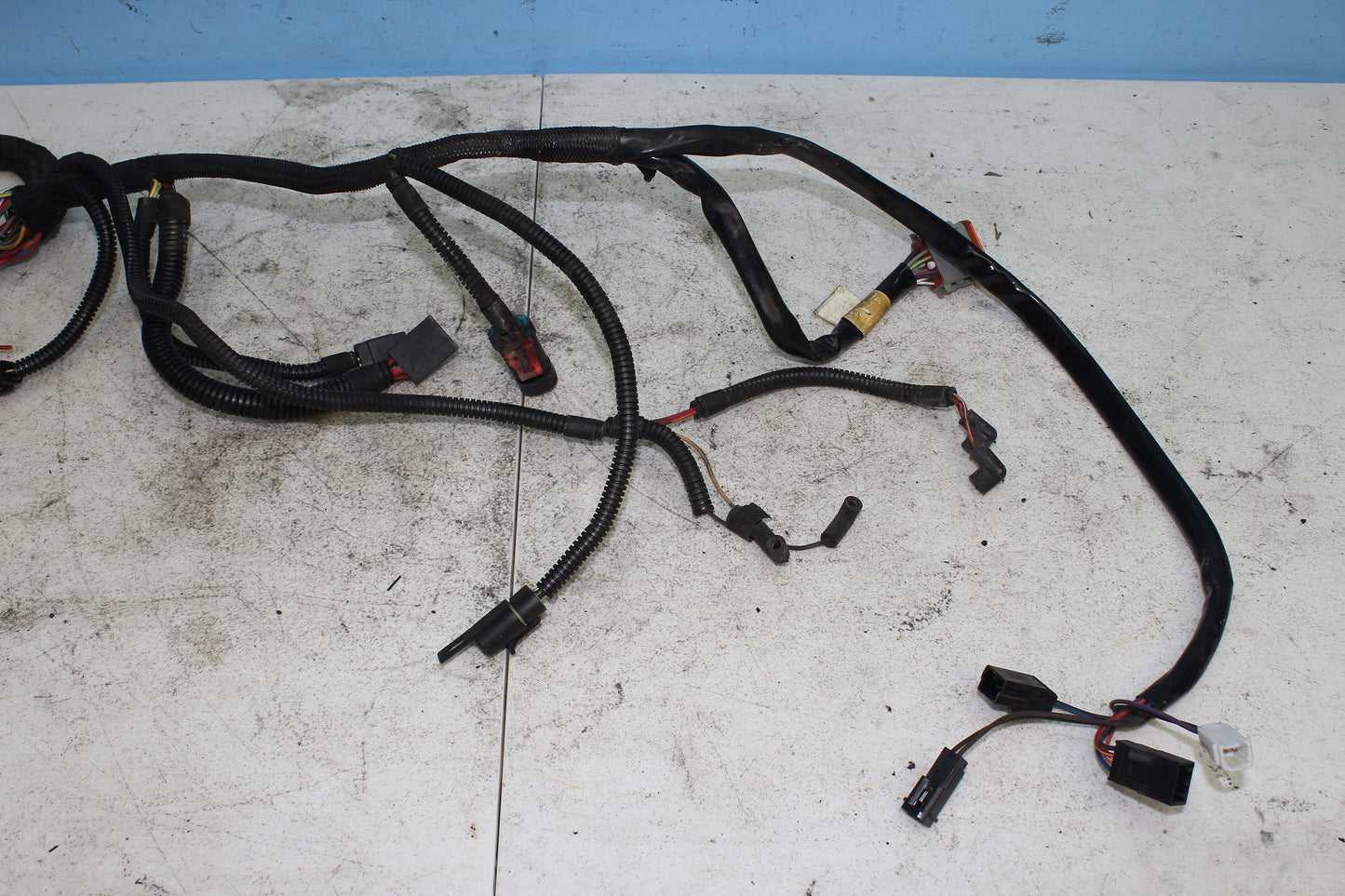 02-06 Harley Davidson VRSCA V Rod 100th Anniv. Main Wiring Harness