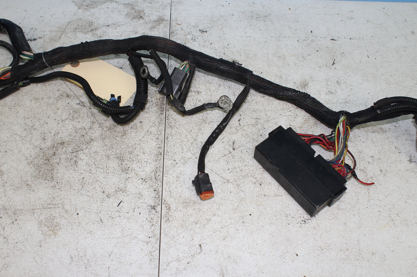 02-06 Harley Davidson VRSCA V Rod 100th Anniv. Main Wiring Harness