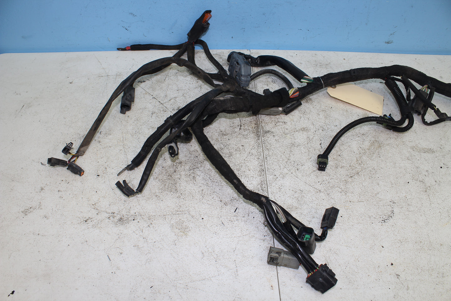 02-06 Harley Davidson VRSCA V Rod 100th Anniv. Main Wiring Harness
