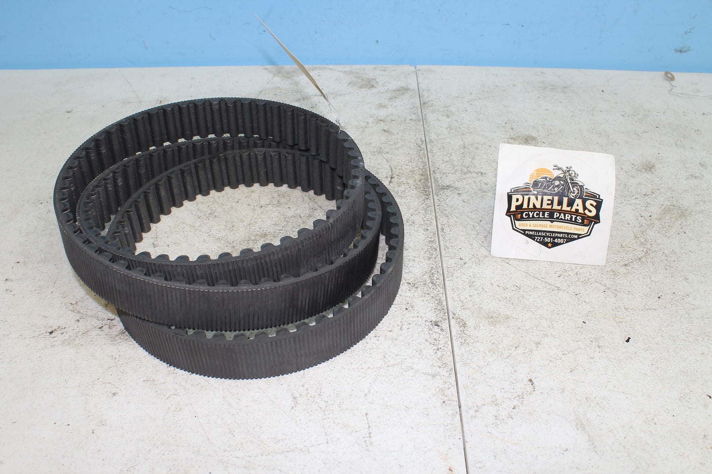 02-06 Harley Davidson VRSCA V Rod 100th Anniv. Drive Belt