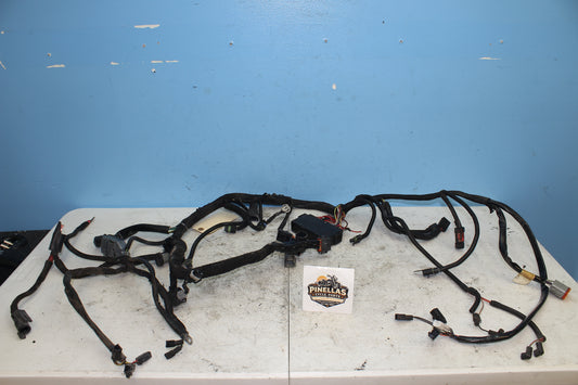 02-06 Harley Davidson VRSCA V Rod 100th Anniv. Main Wiring Harness