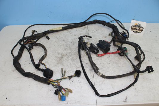1999-2003 Yamaha Road Star OEM Main Wiring Harness