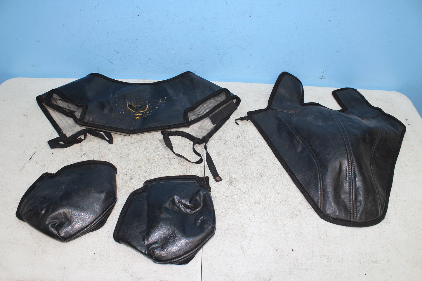 88-00 Honda Goldwing GL1500 Front Fairing Fender Mirror Bra Cover