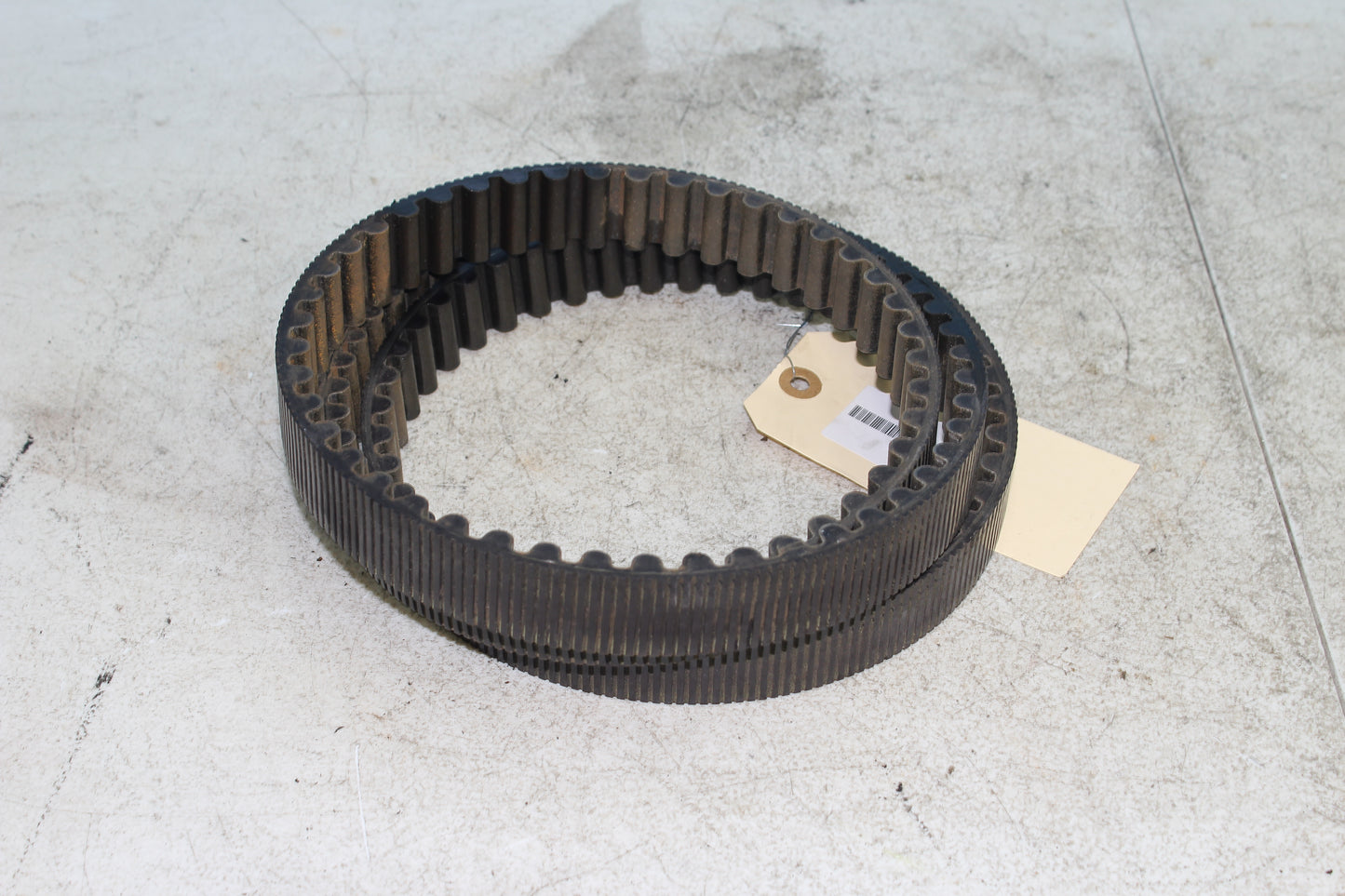 2000-2003 Harley Davidson Dyna Low Rider FXDL OEM Drive Belt 40015-00B
