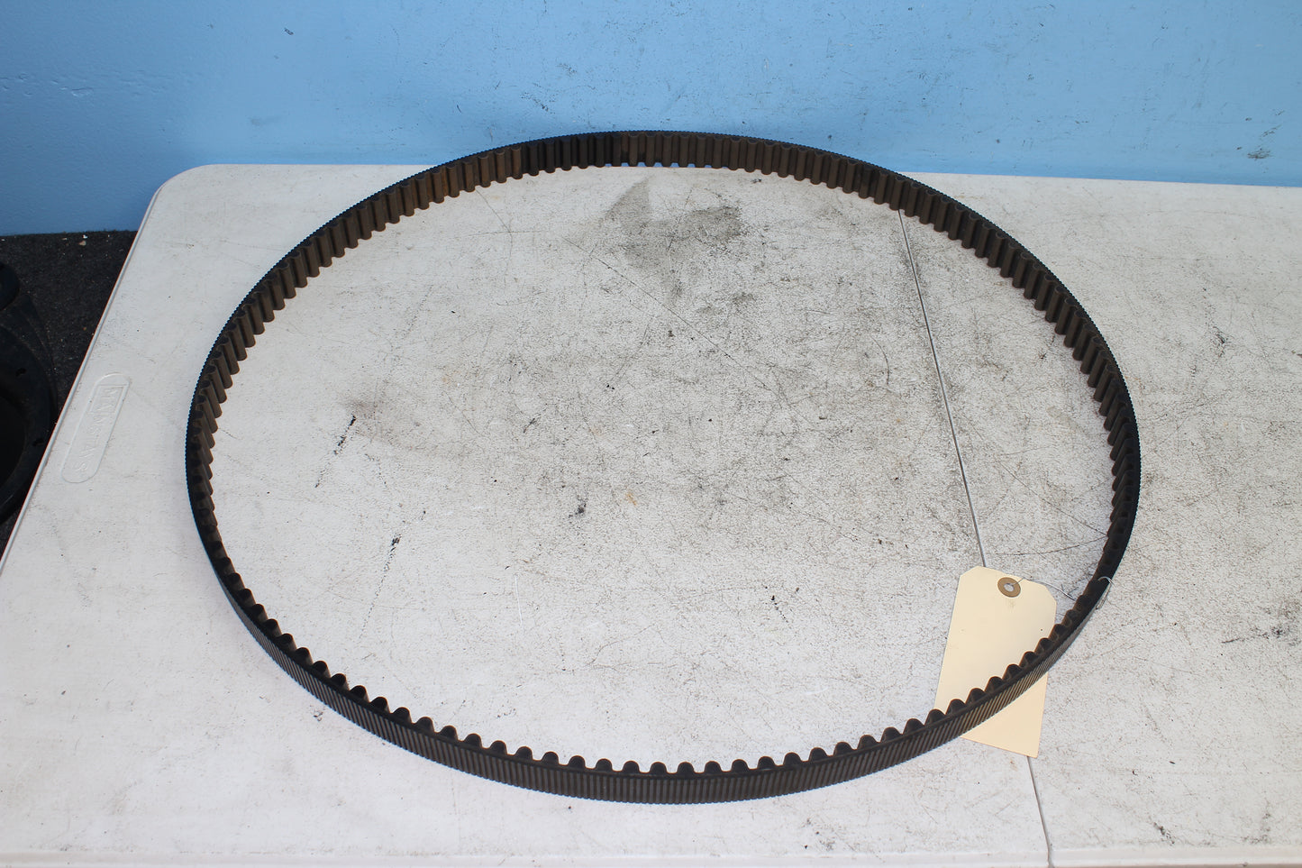2000-2003 Harley Davidson Dyna Low Rider FXDL OEM Drive Belt 40015-00B