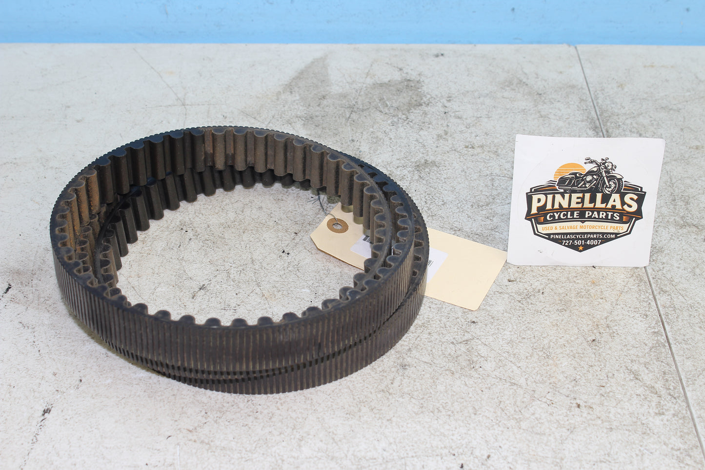 2000-2003 Harley Davidson Dyna Low Rider FXDL OEM Drive Belt 40015-00B