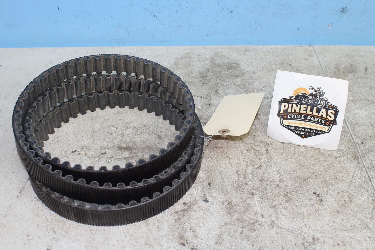 2014-2022 Harley Davidson Sportster 883 OEM Drive Belt 40591-07