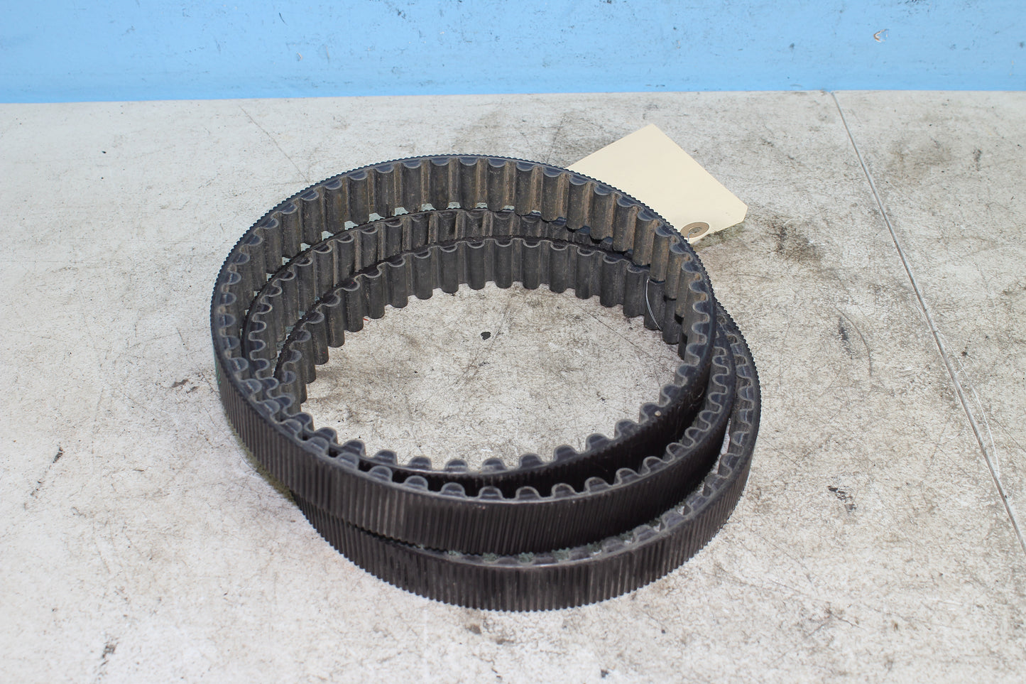 2014-2022 Harley Davidson Sportster 883 OEM Drive Belt 40591-07