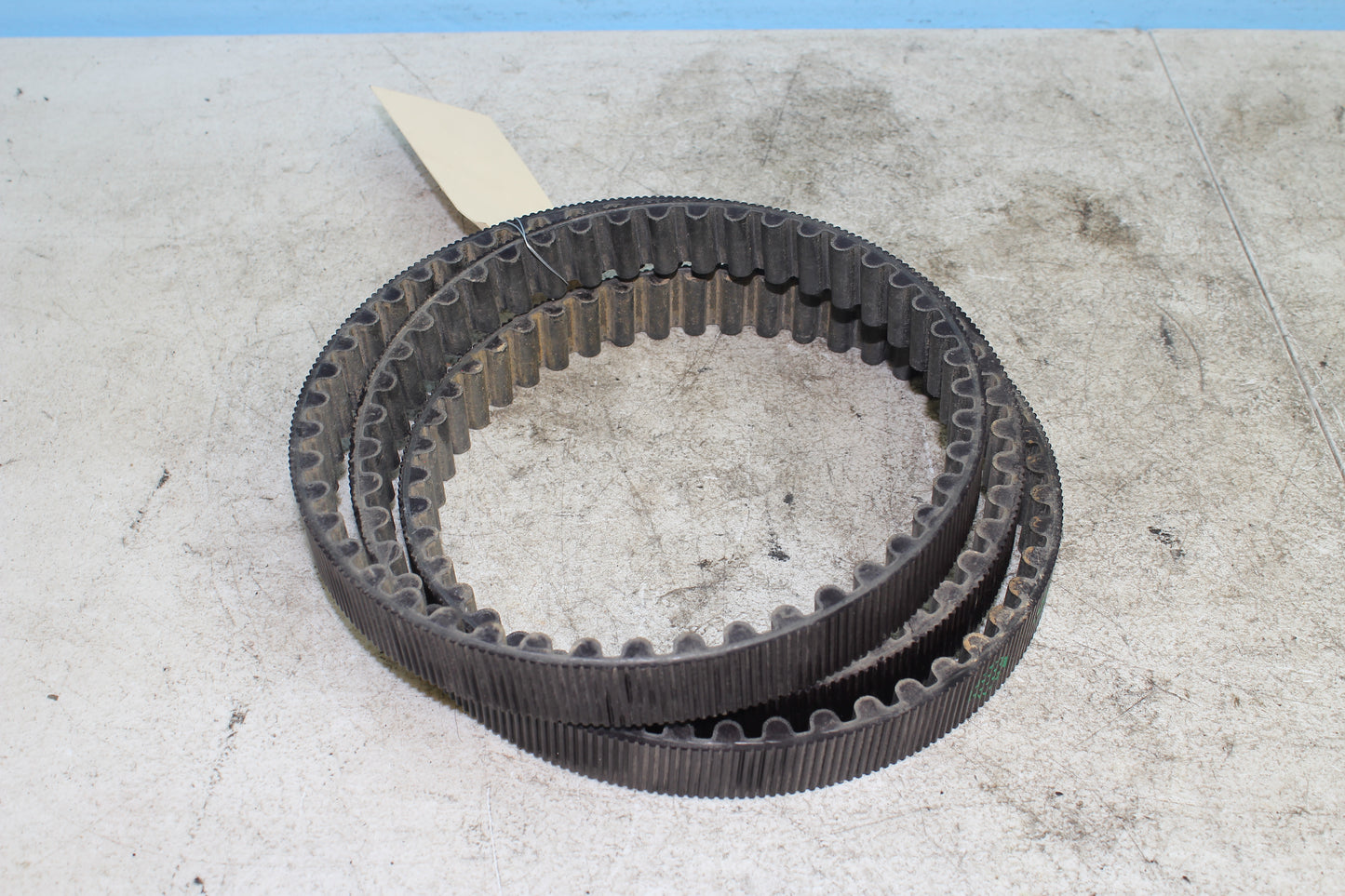 2014-2022 Harley Davidson Sportster 883 OEM Drive Belt 40591-07