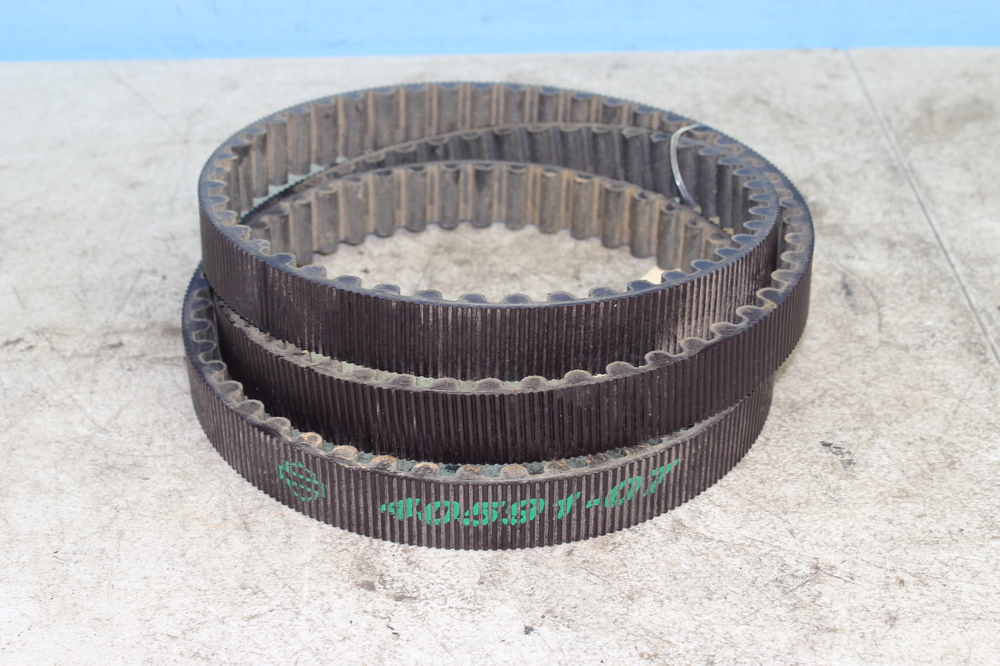 2014-2022 Harley Davidson Sportster 883 OEM Drive Belt 40591-07