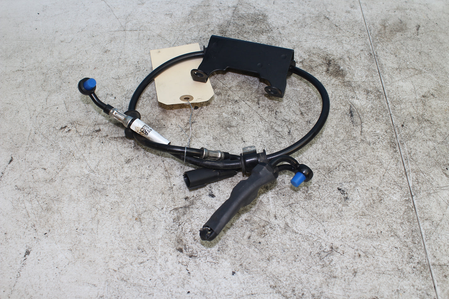 2014-2022 Harley Davidson Sportster 883 OEM Rear Brake Line Hose NON ABS