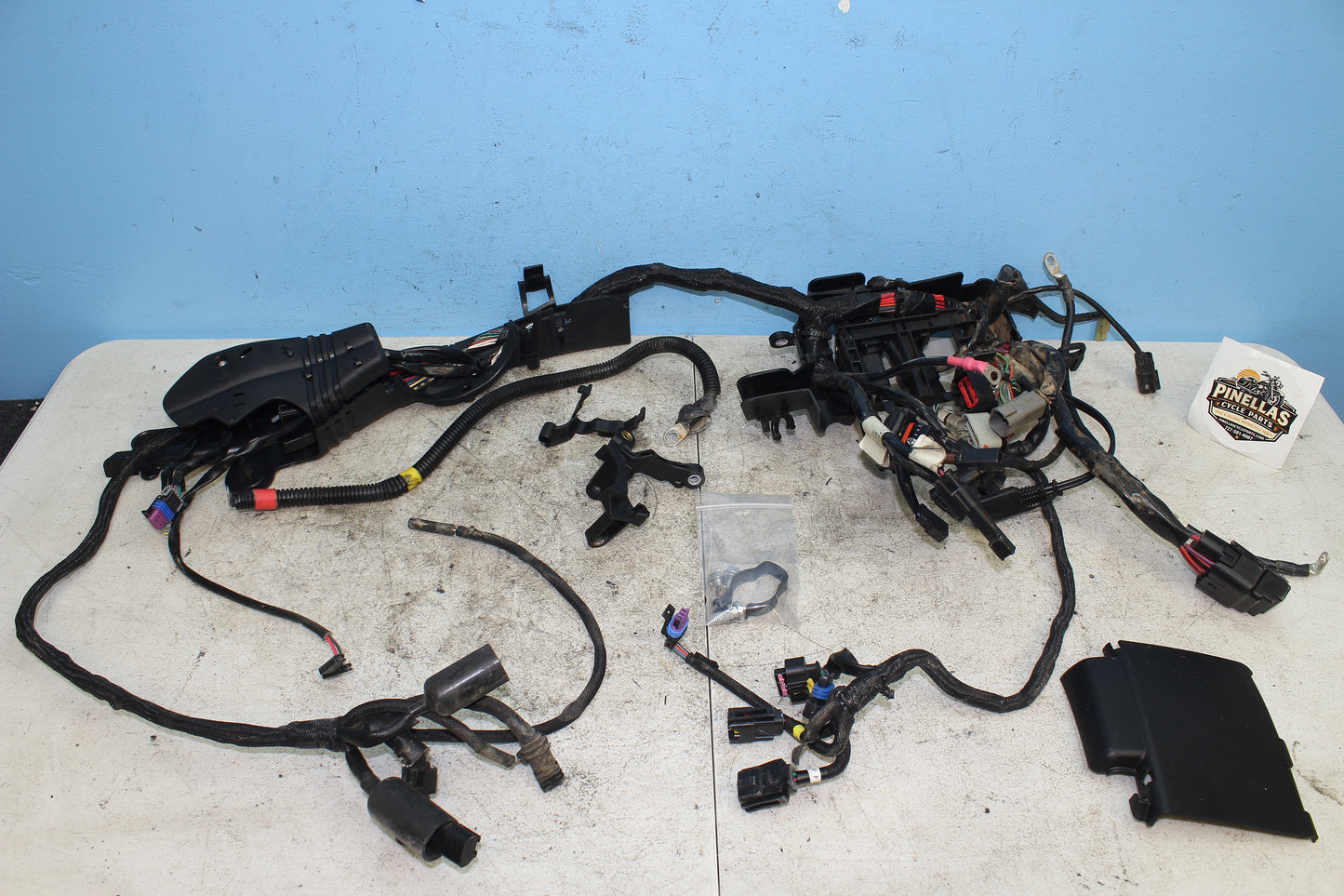 2014-2022 Harley Davidson Sportster 883 OEM Main Wiring Harness 69200072B