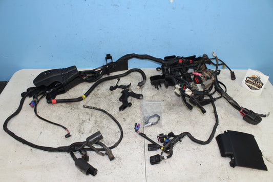 2014-2022 Harley Davidson Sportster 883 OEM Main Wiring Harness 69200072B