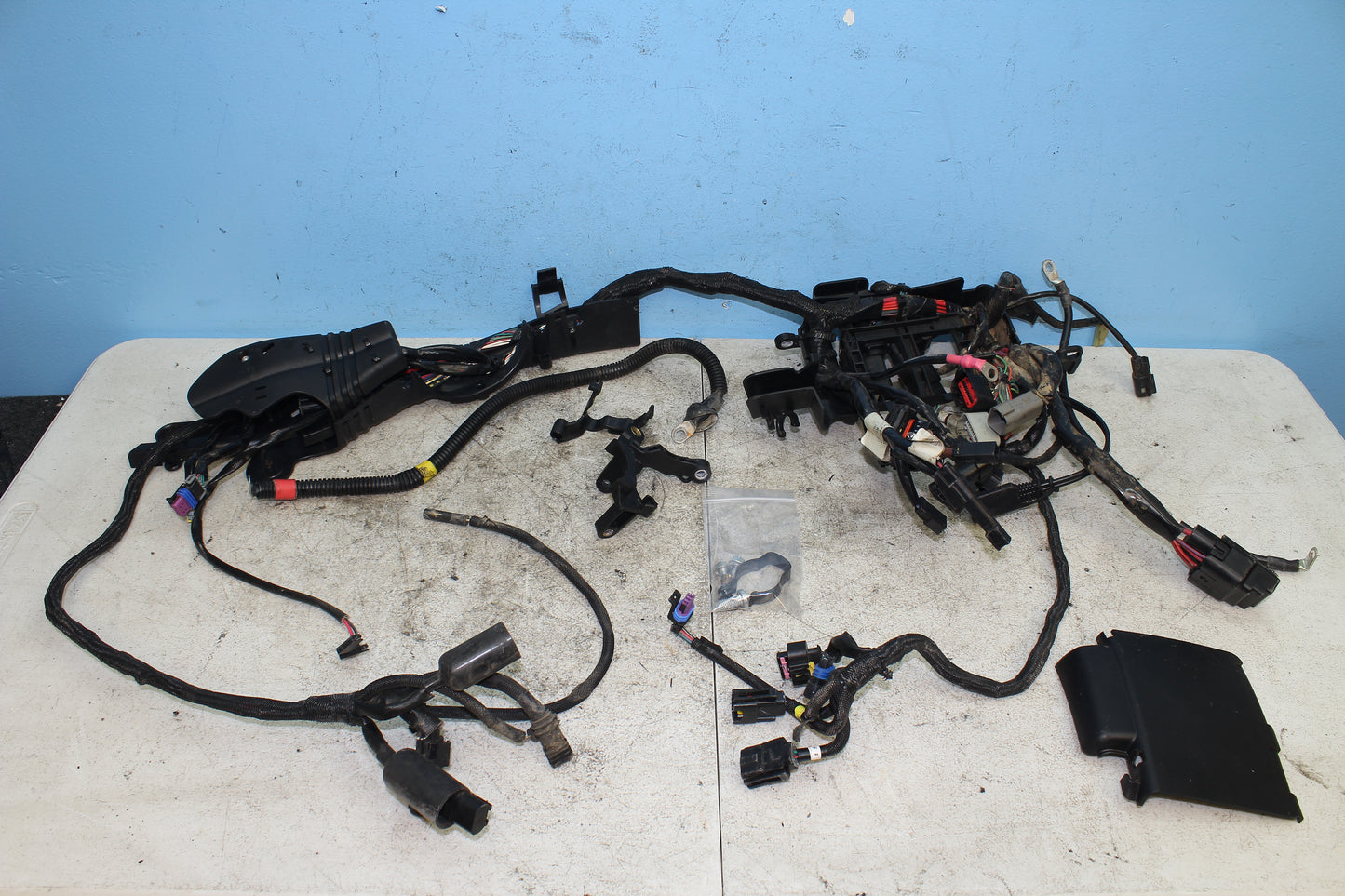 2014-2022 Harley Davidson Sportster 883 OEM Main Wiring Harness 69200072B