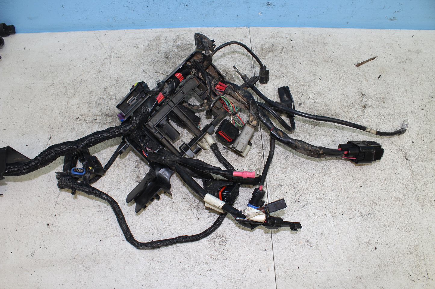 2014-2022 Harley Davidson Sportster 883 OEM Main Wiring Harness 69200072B