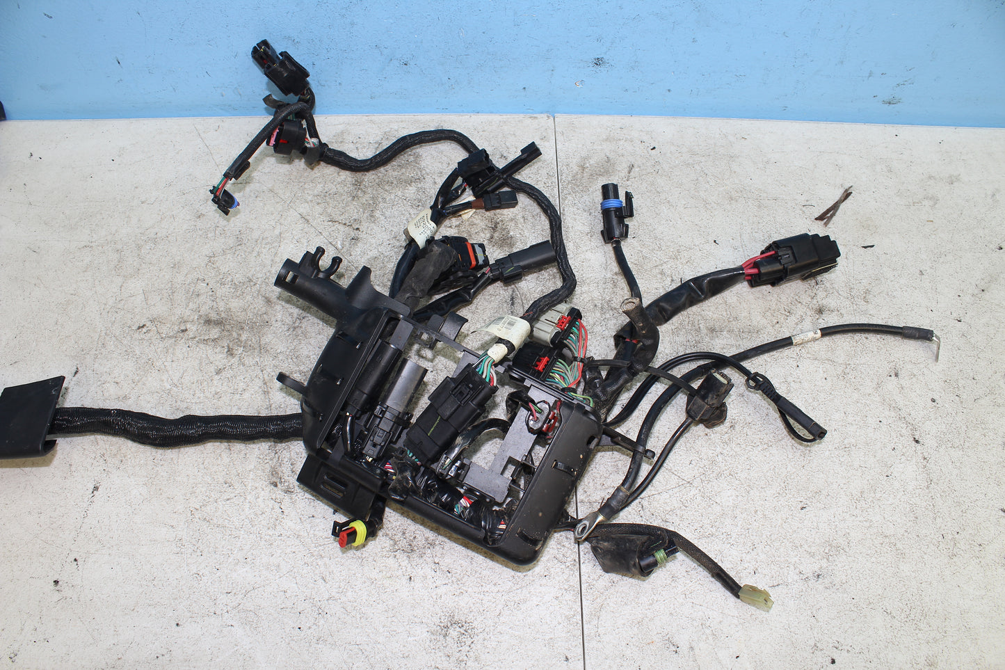 2014-2022 Harley Davidson Sportster 883 OEM Main Wiring Harness 69200072B