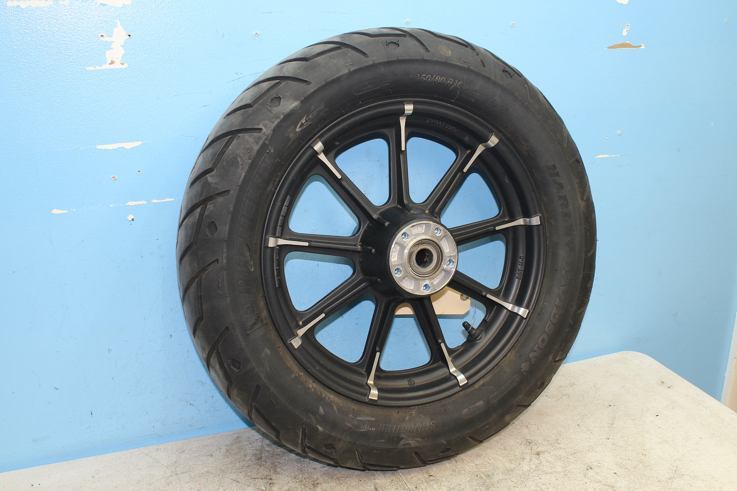 2014-2022 Harley Davidson Sportster 883 OEM Rear Wheel Rim 40900402