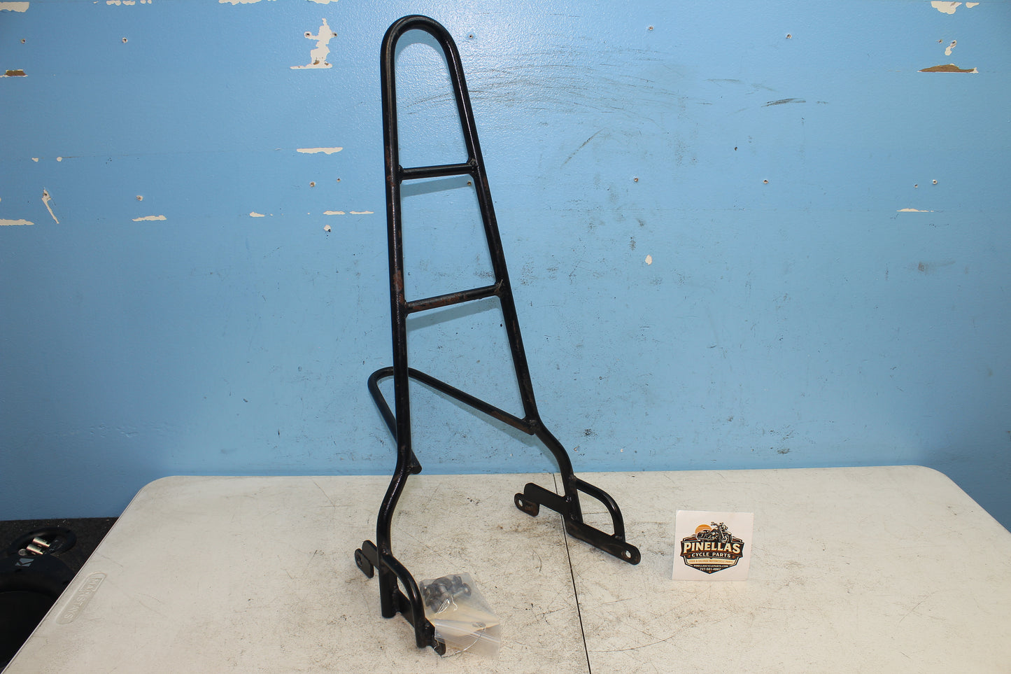 14-22 Harley Sportster Iron XL 883 Sissy Bar