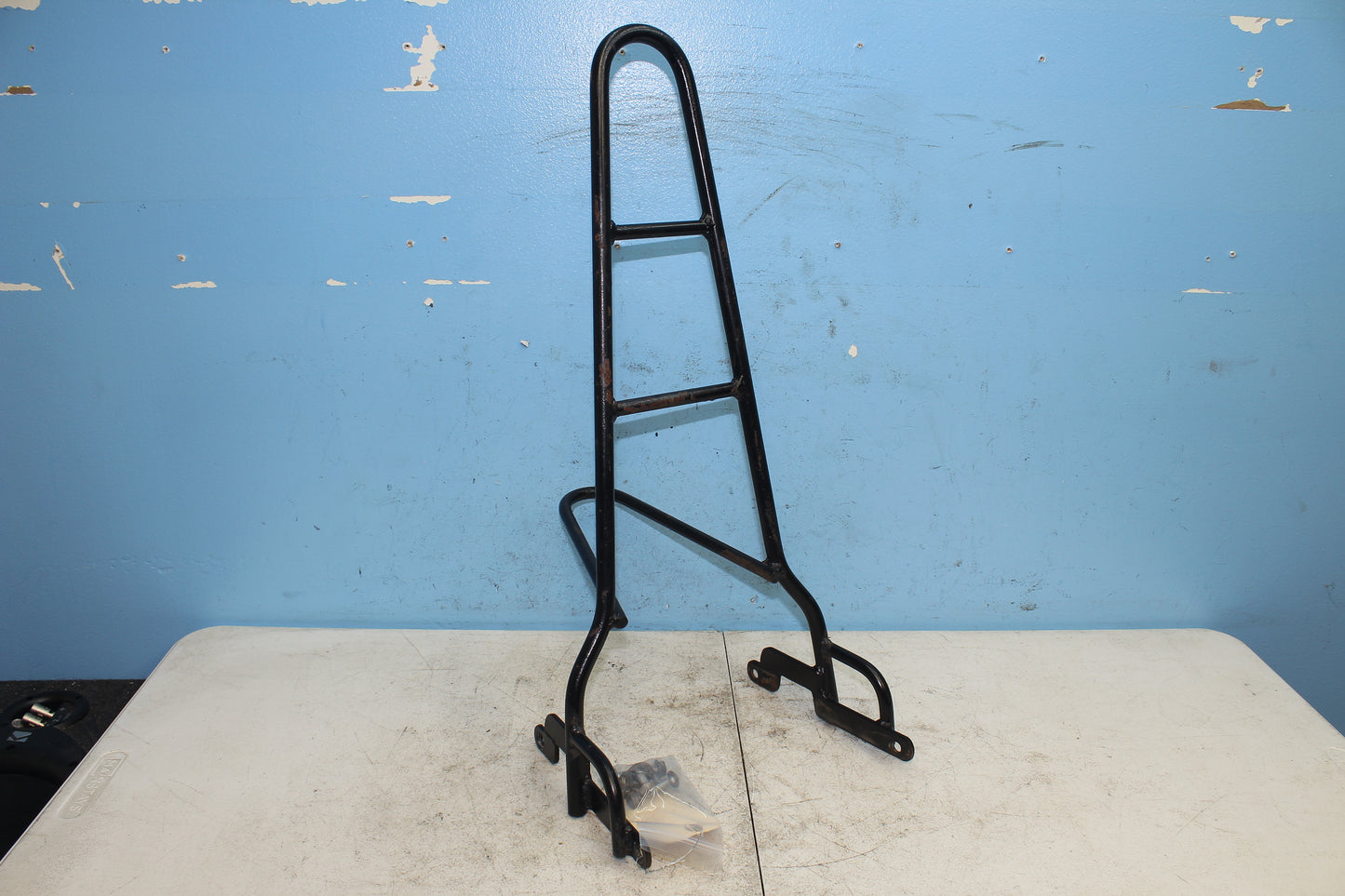 14-22 Harley Sportster Iron XL 883 Sissy Bar