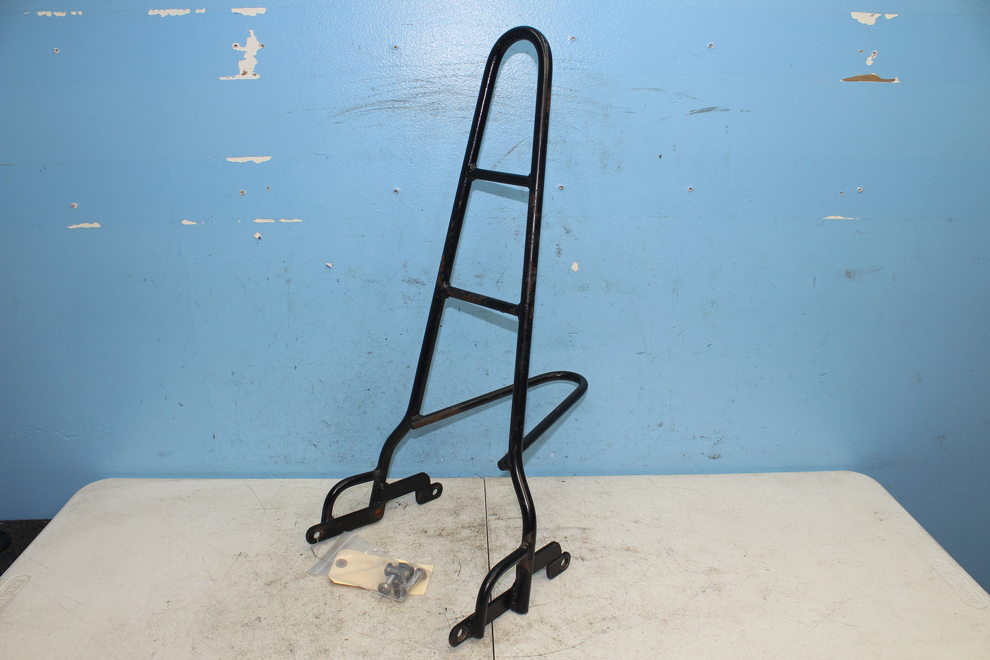 14-22 Harley Sportster Iron XL 883 Sissy Bar