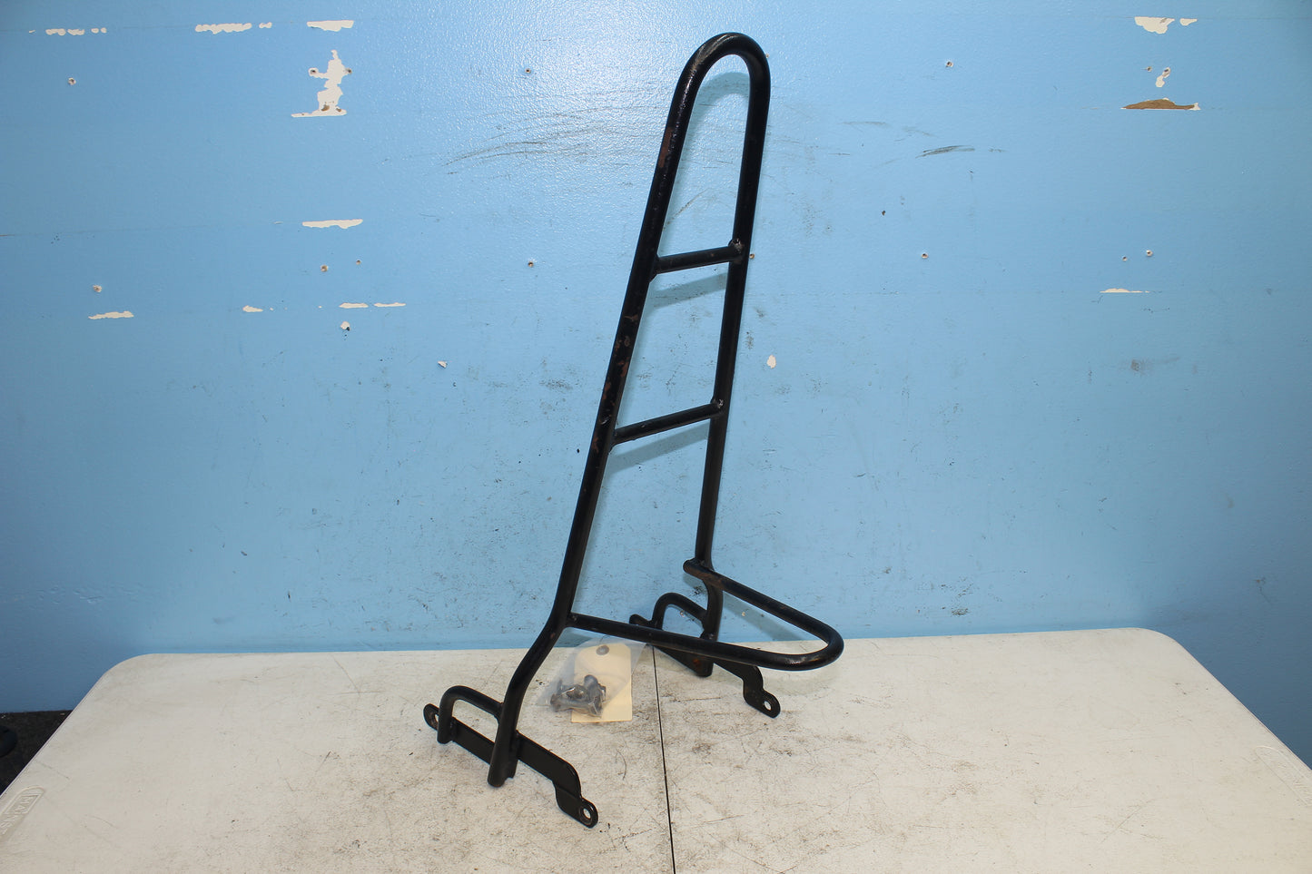 14-22 Harley Sportster Iron XL 883 Sissy Bar