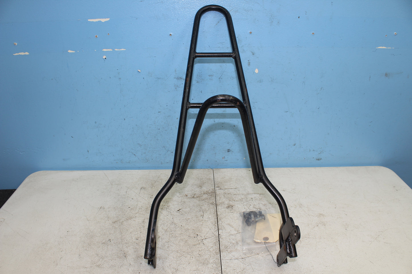 14-22 Harley Sportster Iron XL 883 Sissy Bar