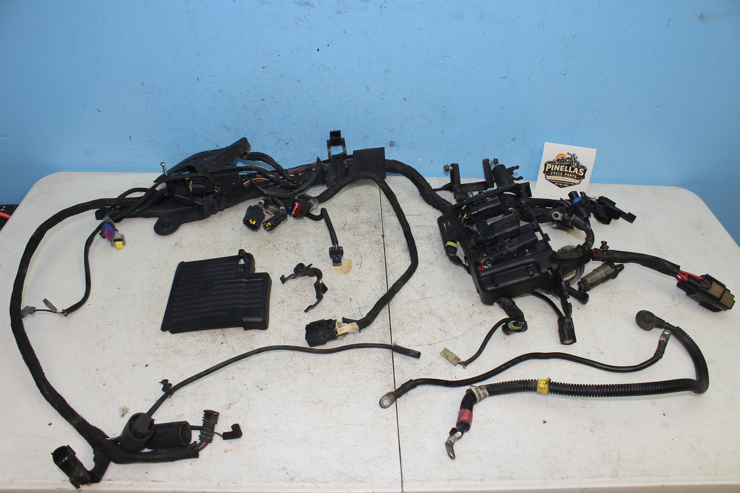 14-22 Harley Sportster Iron XL 883 Engine Main Wiring Harness w/ Battery Cables