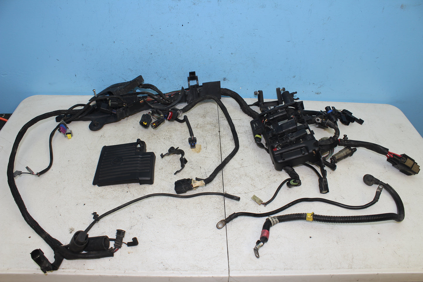 14-22 Harley Sportster Iron XL 883 Engine Main Wiring Harness w/ Battery Cables