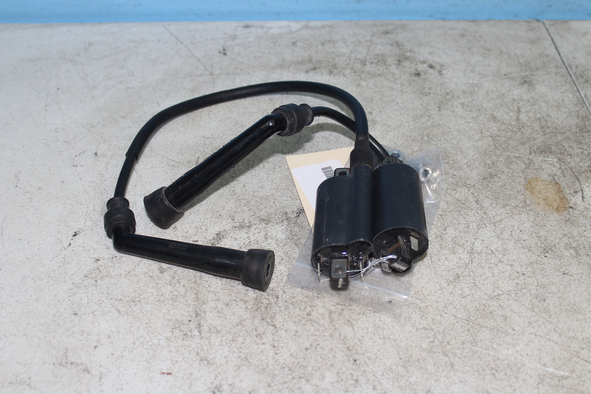01-04 Suzuki Intruder Volusia VL800 OEM Ignition Coil Packs w/ Plug Wires