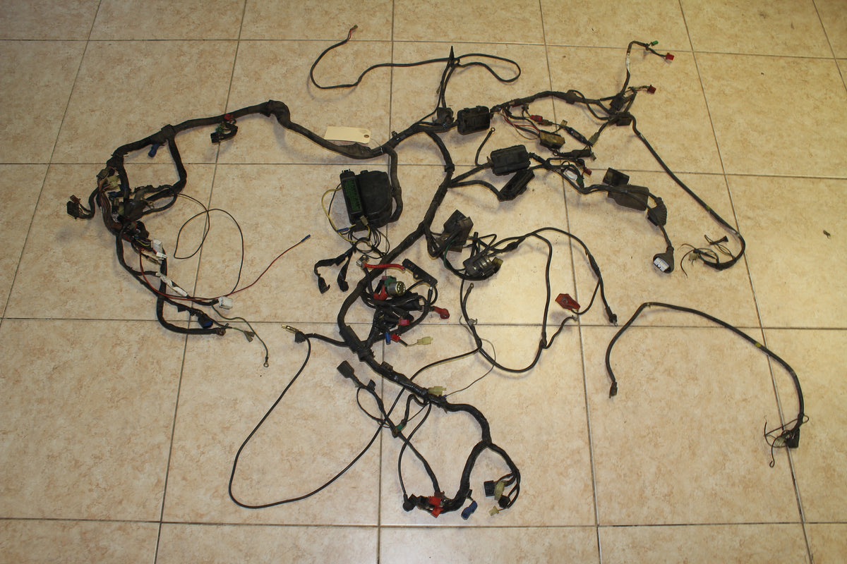 88-89 Honda Goldwing GL1500 Main Wiring Harness Engine Wire Loom