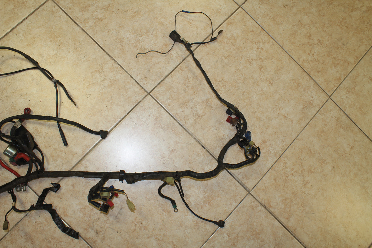 88-89 Honda Goldwing GL1500 Main Wiring Harness Engine Wire Loom