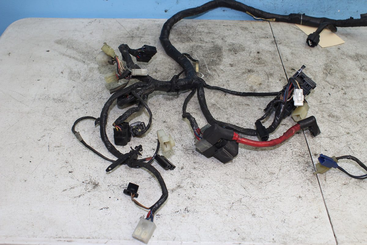 96-97 Yamaha Royal Star XVZ1300 Main Wiring Harness Wire Loom