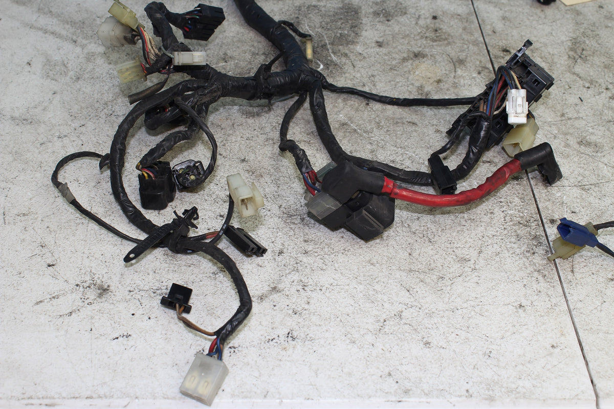 96-97 Yamaha Royal Star XVZ1300 Main Wiring Harness Wire Loom